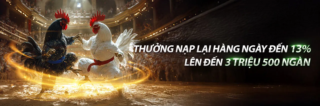 Đá gà trực tiếp tk888 tại đấu trường sôi động