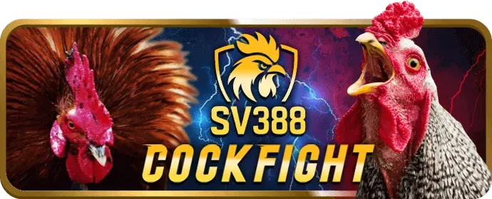 Bước 3: Khám phá thế giới game tại tk888 sau khi đăng nhập